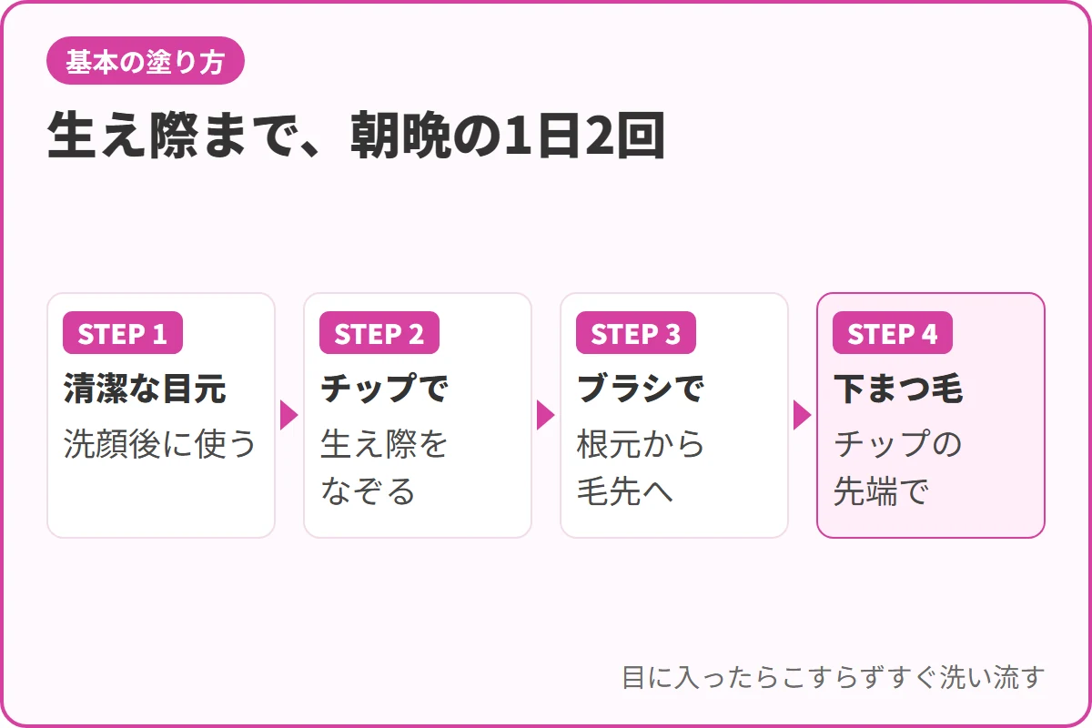 生え際まで、朝晩の1日2回