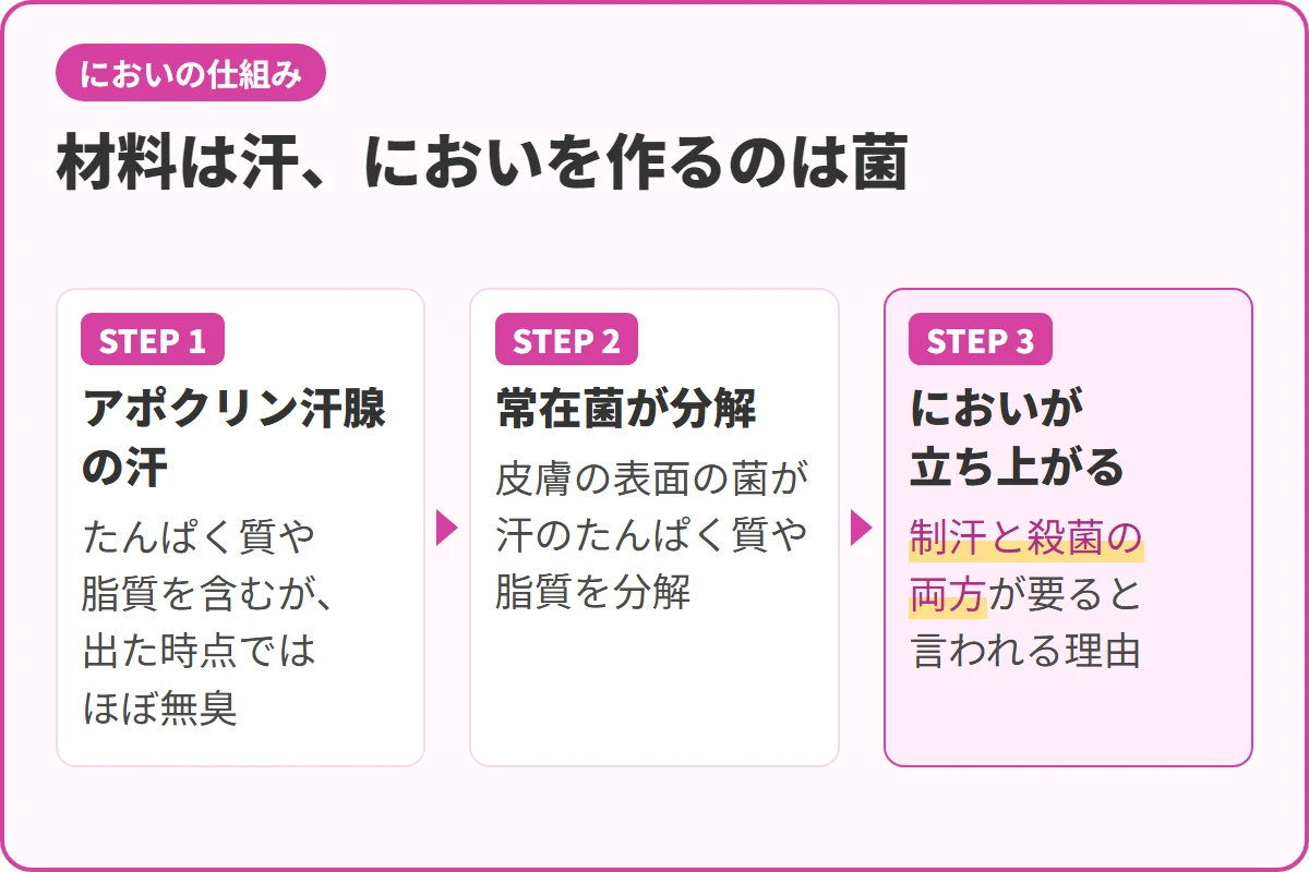 材料は汗、においを作るのは菌